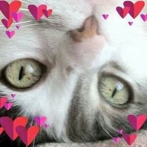 Meet your Posher, Anne